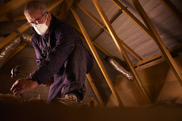 Best Wall Insulation Contractor  in Monticello, MS