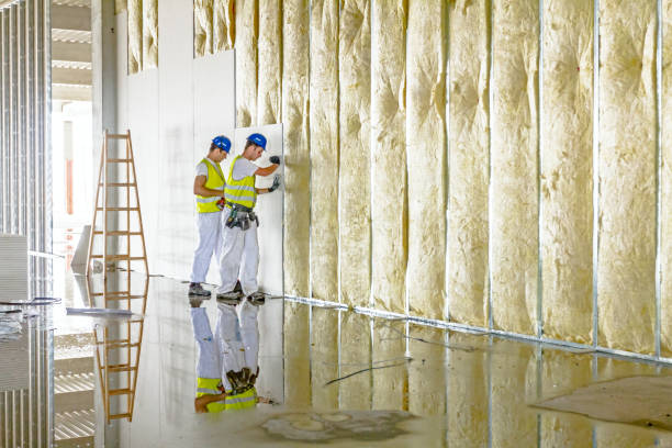 Best Garage Insulation Installation  in Monticello, MS